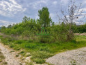 Teren Bujoreni/494 mp/Intravilan