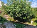 Casa - Teren 315mp Vacaresti - Zona Martisor - Piata Sudului
