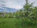 Teren extravilan de vânzare – 1500 mp, livada, ideal pent