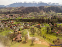 FILM! Teren de 6.500 mp si camin stramosesc, in inima Bucegi