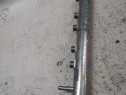Rampa injectoare BMW 320 2011