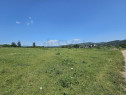 Teren de in Campina I zona Voila