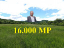 Borlovenii Noi, Teren Drept, 16000mp, la Limita Localitatii
