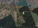 Teren intravilan inconjurat de padure - Ciofliceni, Snagov