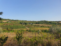 Teren situat în Chitorani, zona Titel Petrescu 14000mp