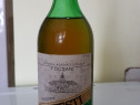 Sticla vin COTESTI Feteasca Regala,vechime intre 40-60 ani