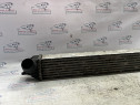 Intercooler  Renault Laguna 2009, 144610001N