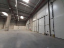 Bd. Th. Pallady - 3400mp si 800mp - ISU - comision 0