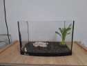 Acvariu Diversa 20l