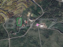Oportunitate ! Teren intravilan, 1000 mp, zona Borhanci, pan