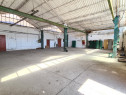 Inchiriez hala 400 MP zona Sanicolaul Mic - ID : RH-43064-property