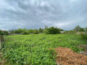 Islaz - Branesti - teren 1452mp - canalizare - gaze - curent - asfalt