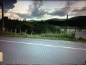 Inchiriez schimb teren 1500 m2, dn 1  Busteni