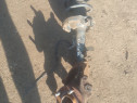 Fuzeta cu amortizor dreapta fata Ford C-MAX 1.0 Benzina 2013