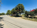 Teren 2,841mp Apateu / Strada Principala langa Biserica O...
