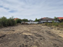 Teren intravilan 1000 mp - Domnesti
