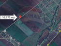 Teren 10.875 MP | Hălchiu | Jud. Brasov