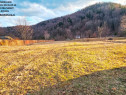 Teren Ideal casa de vacanta/Pastravarie,sat Cuejdiu,com.Garcina