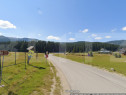 INVESTIȚIE PADINA: 1000mp Intravilan &icirc;n Parcul Natural Buc