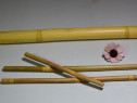 Bambus pentru masaj anticelulitic
