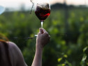 Vin de Vita Nobila - Cabernet Sauvignon