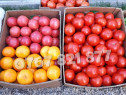 Rasad rosii | Rasaduri rosii / tomate | Rasaduri legume 2024