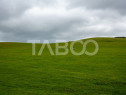 Teren intravilan de vanzare 5.986 mp Selimbar Sibiu
