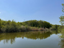 Teren 16756 Deschiere Lac Silistea Snagovului De Vanzare