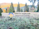 TEREN intravilan TARCAU - SCHITU