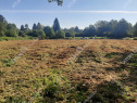 Teren intravilan de 1856 mp in Avrig zona Valea Avrigului