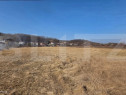 Teren intravilan de vanzare, 700 mp, zona Viișoare