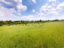 RECO Teren Intravilan 3725 MP, Loc. Cordau, Panorama spre Ba