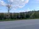 Teren padure 10 ha, extravilan, 400 ml deschidere, stradal,