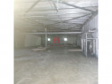 Depozit/hala/spatiu industrial Pantelimon - Colentina - Fun