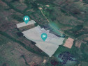 Teren arabil de 87 hectare în Bara, Timiș