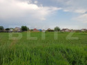 Teren cadastrat, cu CF, 600 mp, in zona Poiana