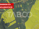 Teren extravilan 2900 mp pretabil pentru investitie zona Lov