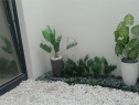 Sacalaz- proiect deosebit-4 camere- curte interioara