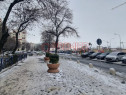 2 camere Aparatorii Patriei - Strada Moldovita