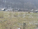 Oportunitate!!!! TEREN INTRAVILAN CU SUPRAFATA DE 5200 MP