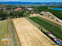 FILM! Teren extravilan, Valea Crisului, Covasna
