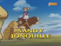 Serial Animatie "Sandy Belle"