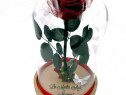 Trandafiri criogenati 10-12cm in cupola de sticla 30cm