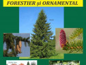 Carte Dendrologie - Specii lemnoase de interes forestier ...