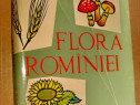 B642-I-Flora Romaniei-I.Sinionescu 1961. Marimi: 25/147 cm.