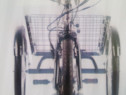Bicicleta 3Roti moderna Pegas