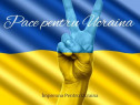 Locuințe gratuite pt cetățenii ucrainei în programul 50/20