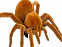 Jucarie interactiva THK, Paianjen Tarantula, Maro, miscare vibratorie