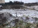 Teren intravilan cu doua fronturi, 1.000 mp, Dumbravita!