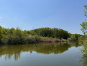 Teren cu Deschidere la Lac de Snagov Gruiu